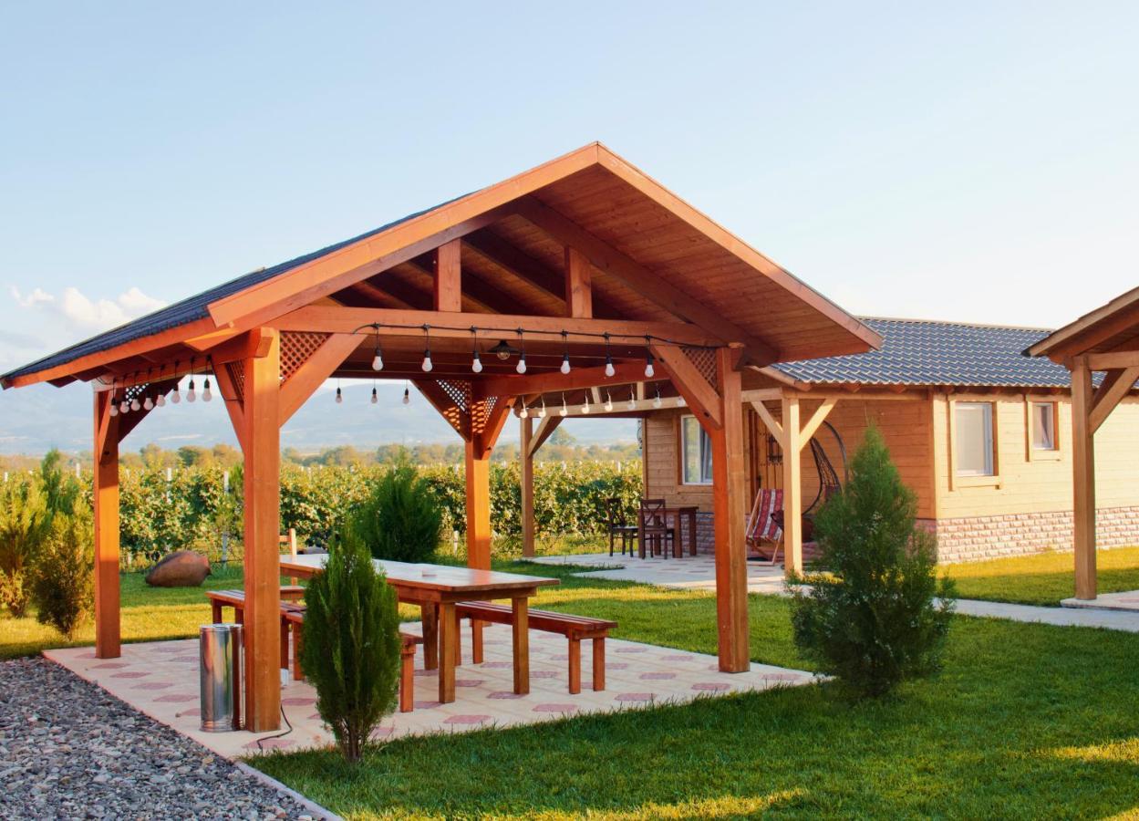 Finca Idoize Camping Hotel Akhmeta Buitenkant foto