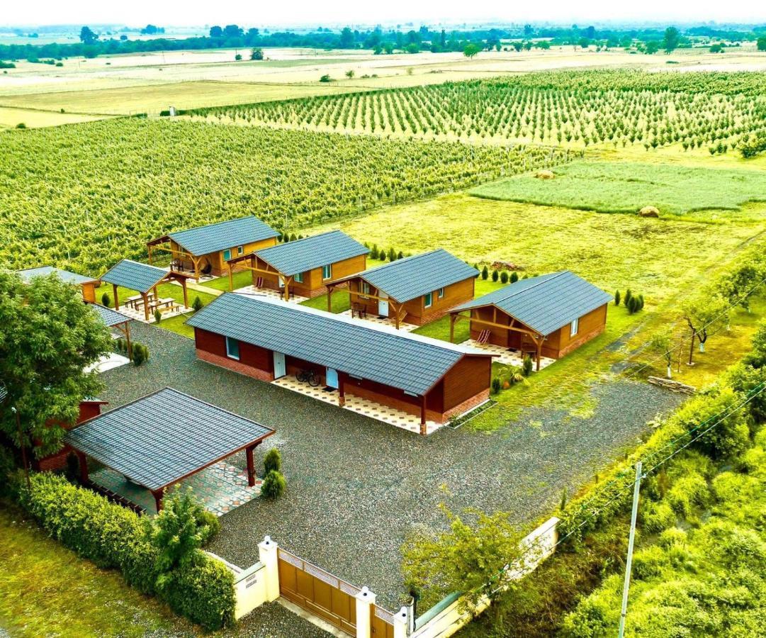 Finca Idoize Camping Hotel Akhmeta Buitenkant foto