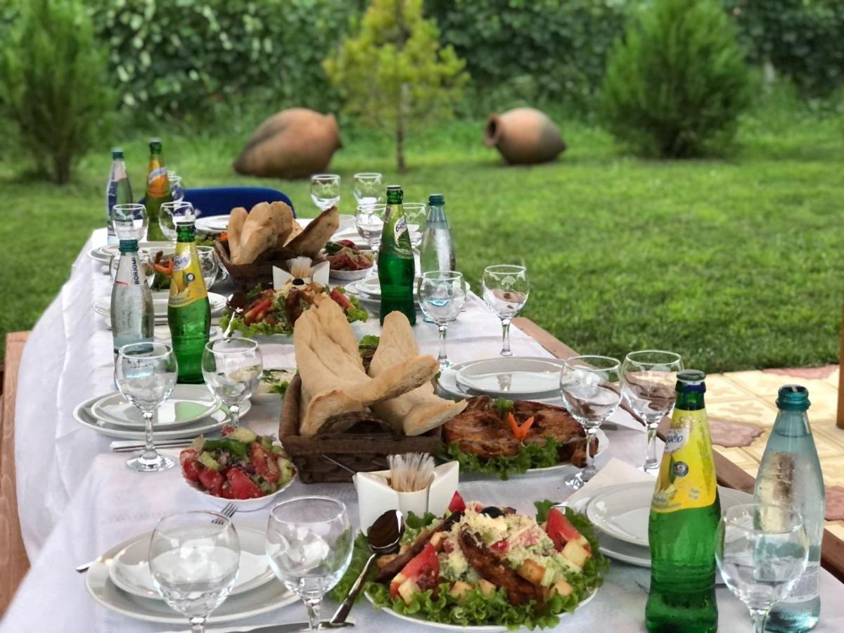 Finca Idoize Camping Hotel Akhmeta Buitenkant foto