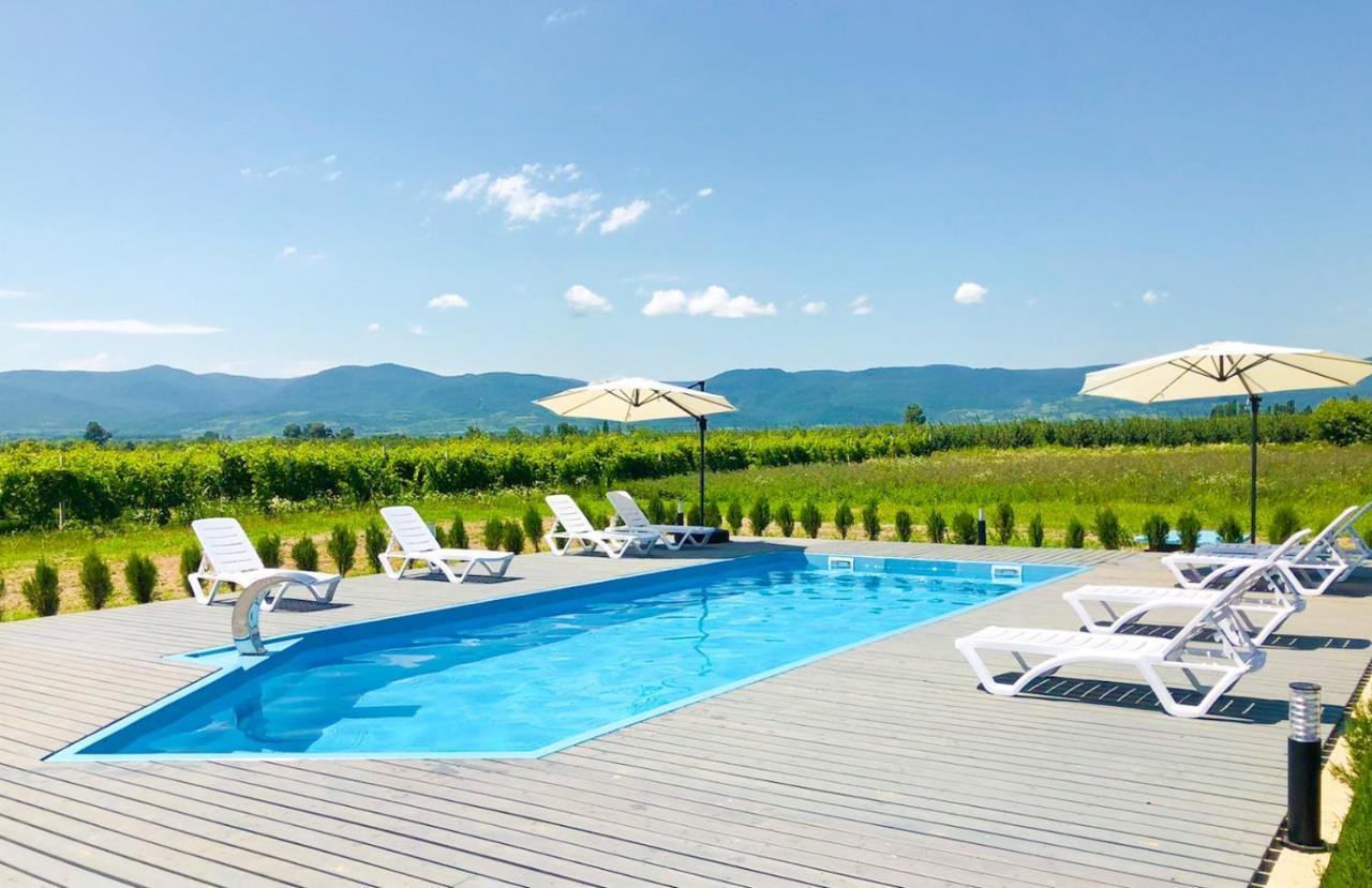 Finca Idoize Camping Hotel Akhmeta Buitenkant foto