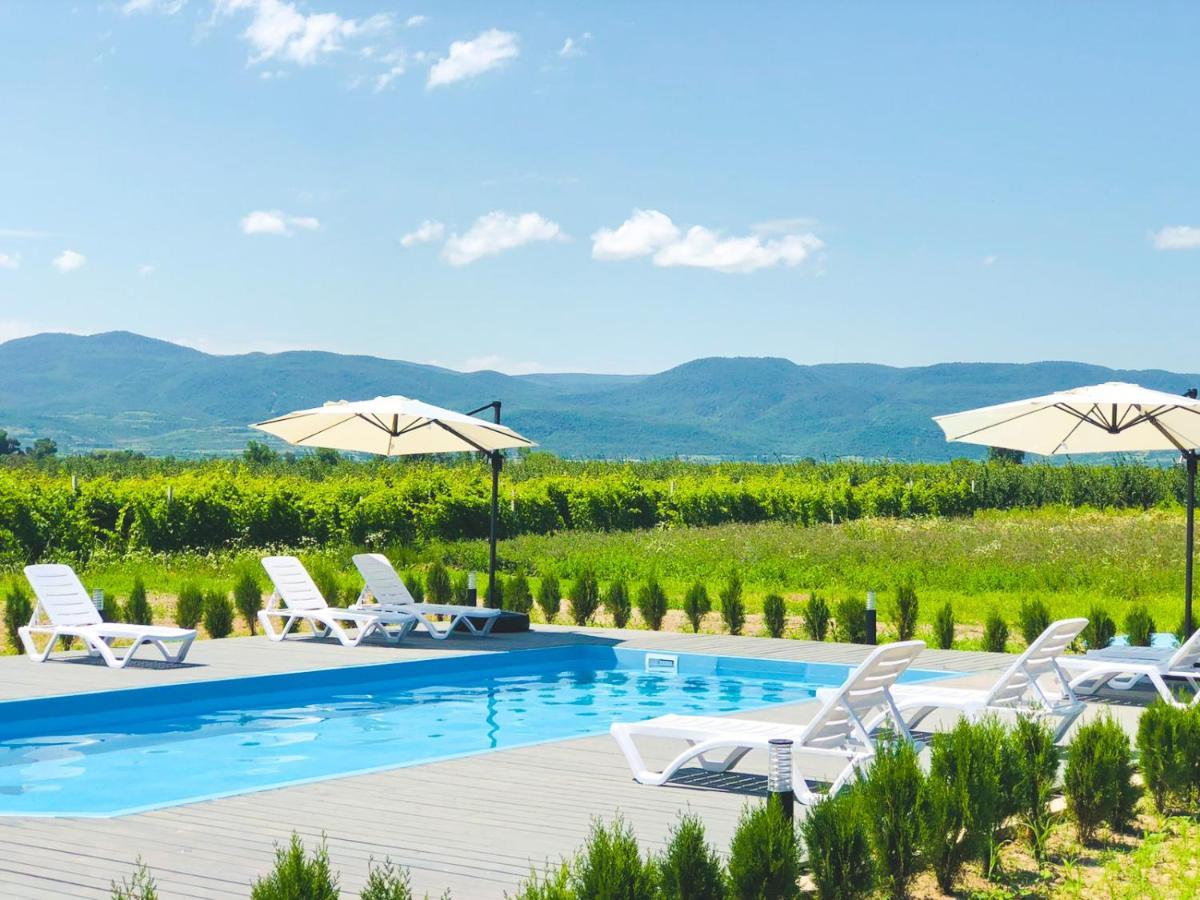 Finca Idoize Camping Hotel Akhmeta Buitenkant foto